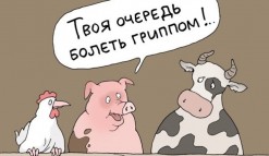 Какие вопросы чаще всего интересуют пациента по поводу вакцинации против гриппа?